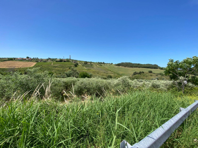 Terreno Agricolo in vendita a Cupello