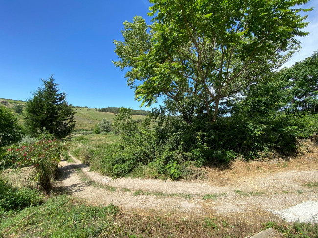 Terreno Agricolo in vendita a Cupello