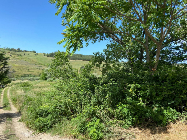 Terreno Agricolo in vendita a Cupello