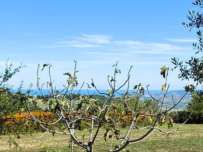 Rustico in vendita a Fresagrandinaria (CH)