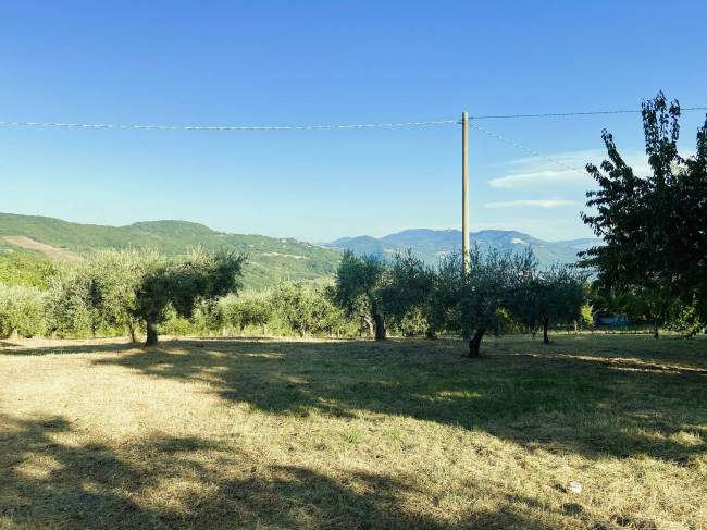 Casa singola in vendita a Palmoli