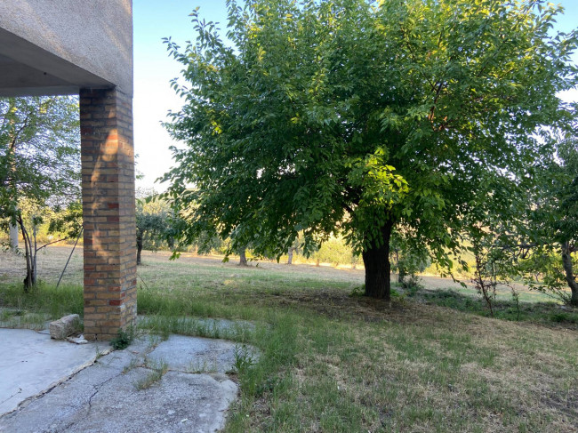 Casa singola in vendita a Palmoli