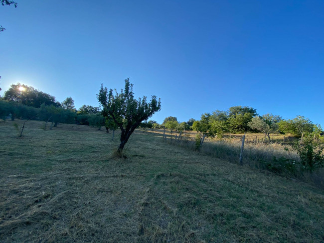 Casa singola in vendita a Palmoli