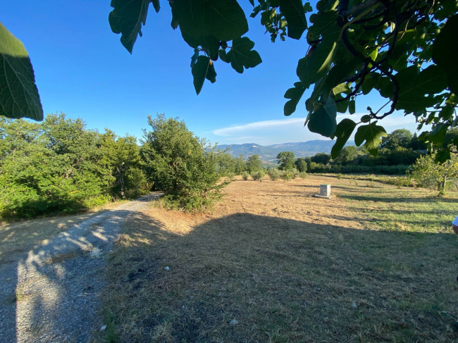 Casa singola in vendita a Palmoli