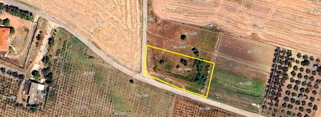 Terreno Agricolo in vendita a Cupello