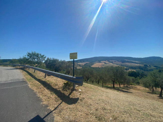 Casale in vendita a Palmoli