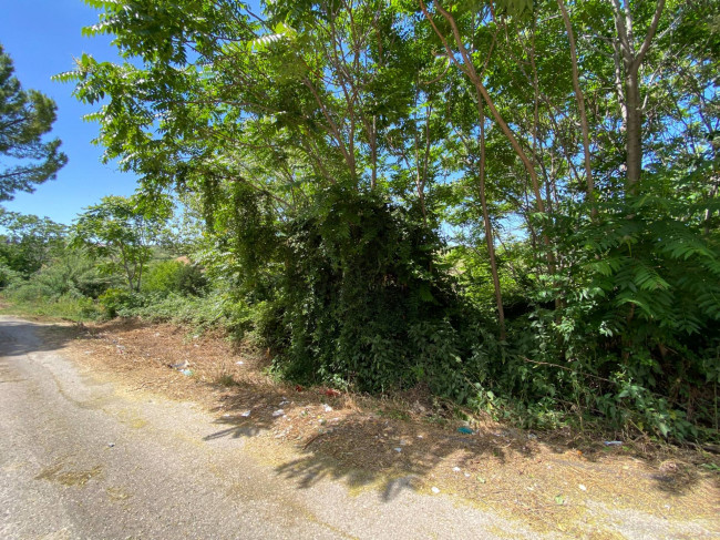 Terreno Agricolo in vendita a Cupello