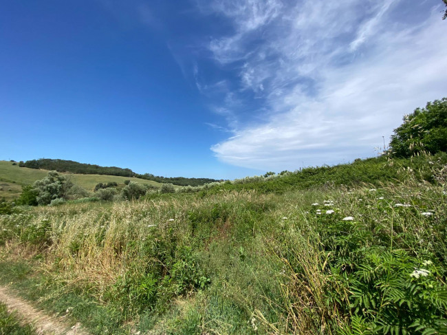 Terreno Agricolo in vendita a Cupello