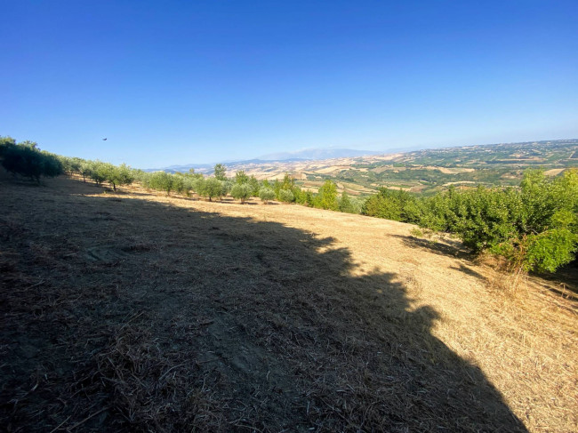 Terreno Agricolo in vendita a Cupello
