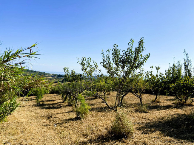 Terreno Agricolo in vendita a Cupello