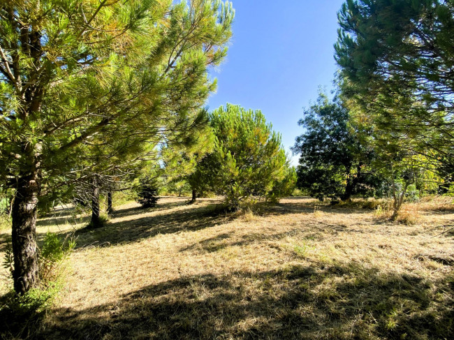 Terreno Agricolo in vendita a Cupello