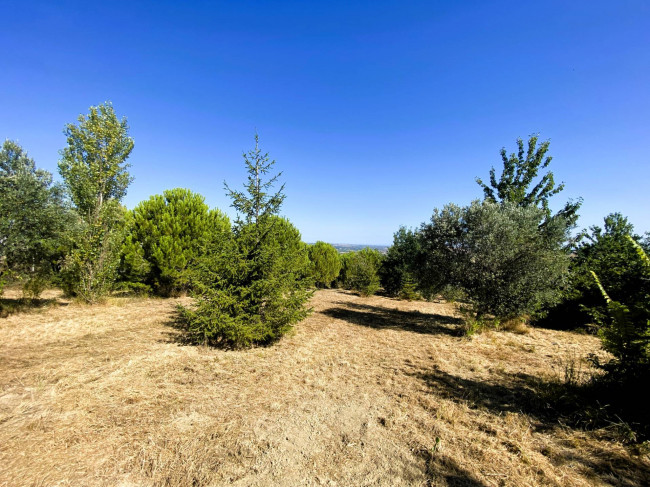 Terreno Agricolo in vendita a Cupello