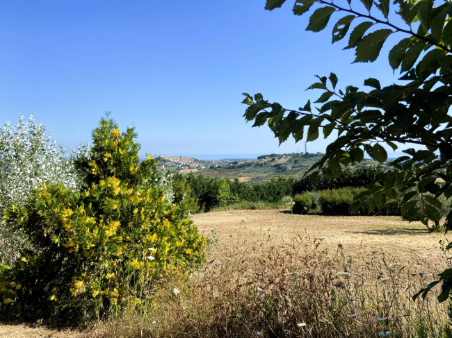 Terreno Agricolo in vendita a Cupello