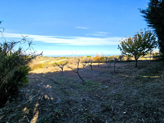 Terreno Agricolo in vendita a Cupello