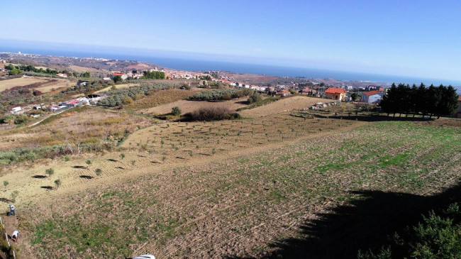 Terreno Agricolo in vendita a Cupello