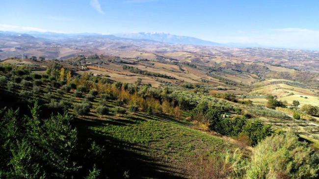 Terreno Agricolo in vendita a Cupello