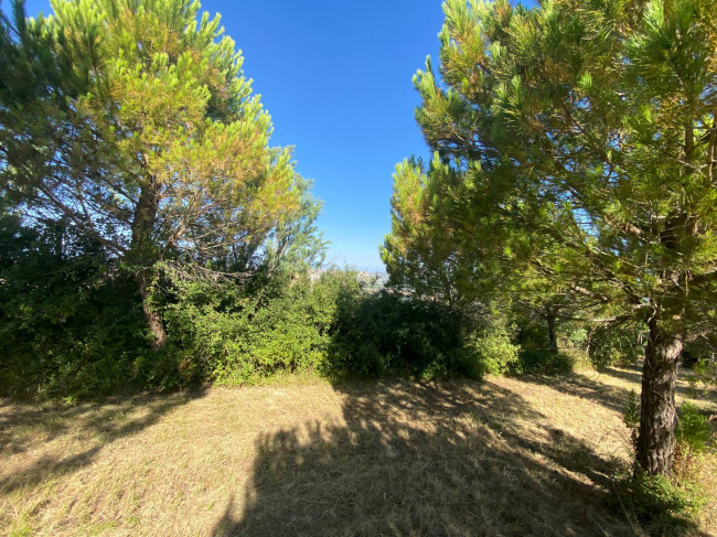 Terreno Agricolo in vendita a Cupello