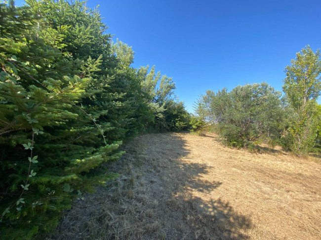 Terreno Agricolo in vendita a Cupello