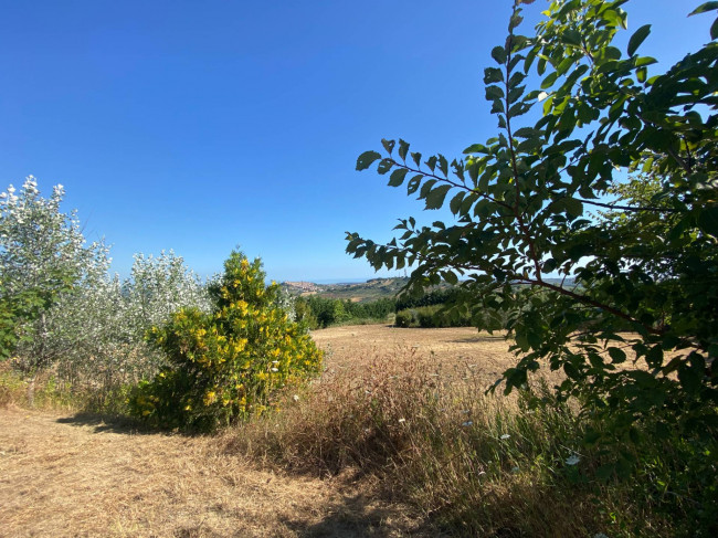 Terreno Agricolo in vendita a Cupello
