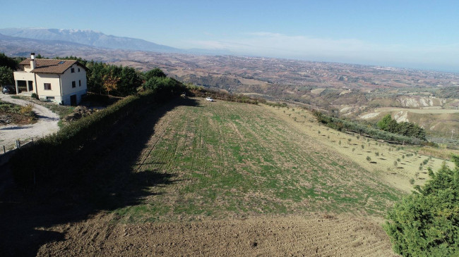 Terreno Agricolo in vendita a Cupello