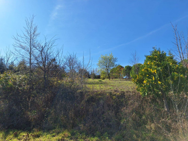 Terreno Agricolo in vendita a Cupello