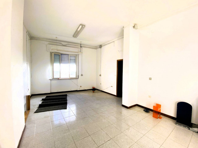 Locale commerciale in vendita a Palmoli