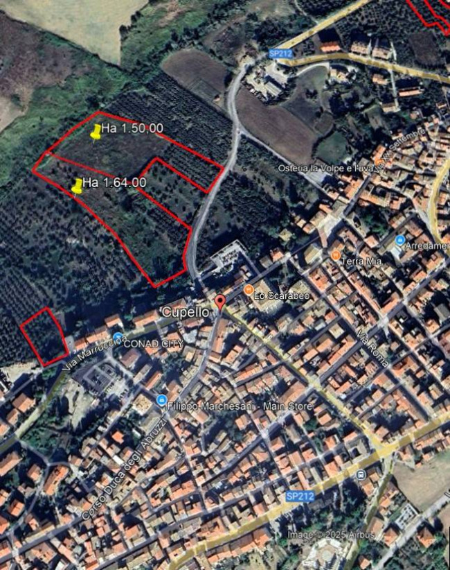 Terreno Agricolo in vendita a Cupello