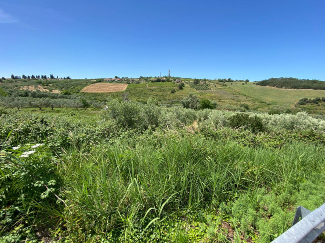 Terreno Agricolo in vendita a Cupello