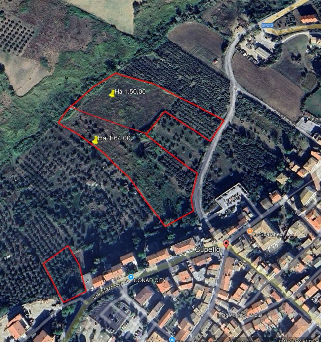 Terreno Agricolo in vendita a Cupello