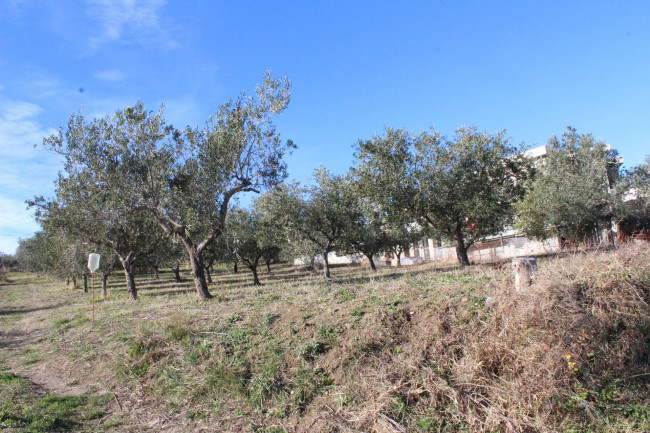 Terreno edificabile in vendita a Cupello