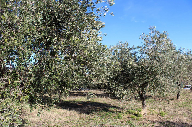 Terreno edificabile in vendita a Cupello