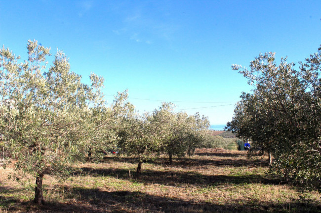 Terreno edificabile in vendita a Cupello