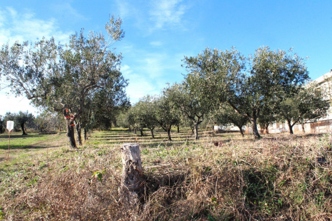 Terreno edificabile in vendita a Cupello
