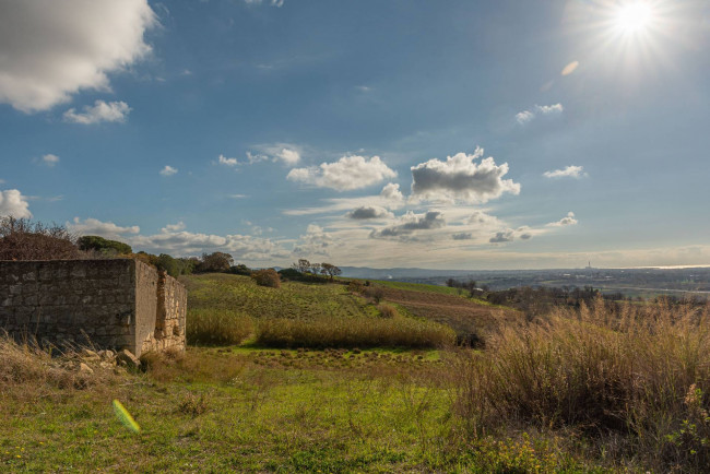 Terreno Agricolo in vendita a Tarquinia