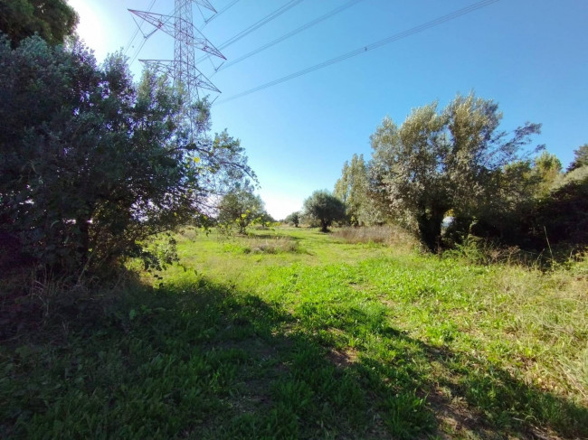 Terreno Agricolo in vendita a Tarquinia