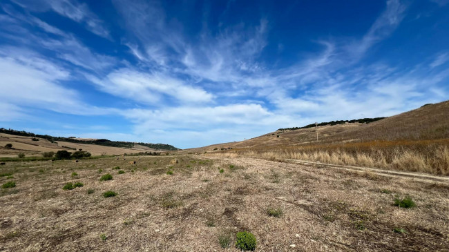 Terreno Agricolo in vendita a Tarquinia