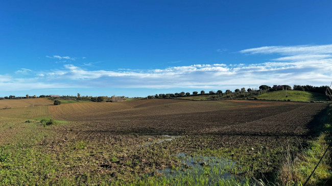 Terreno Agricolo in vendita a Tarquinia