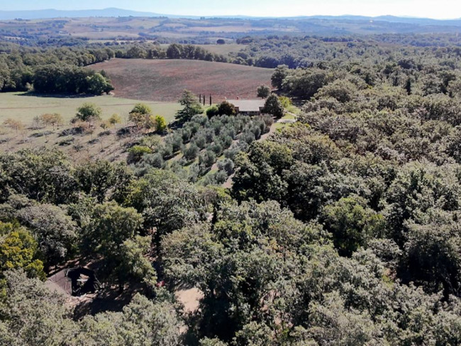 Villa in vendita a Tarquinia