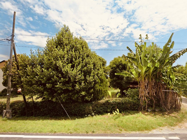 Terreno residenziale in vendita a Montagnana