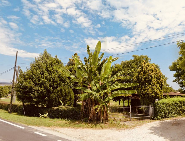 Terreno residenziale in vendita a Montagnana