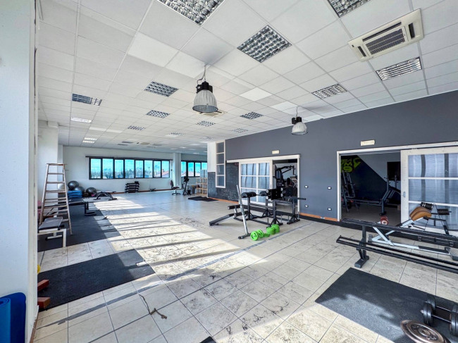 Laboratorio in vendita a Ponzano Veneto