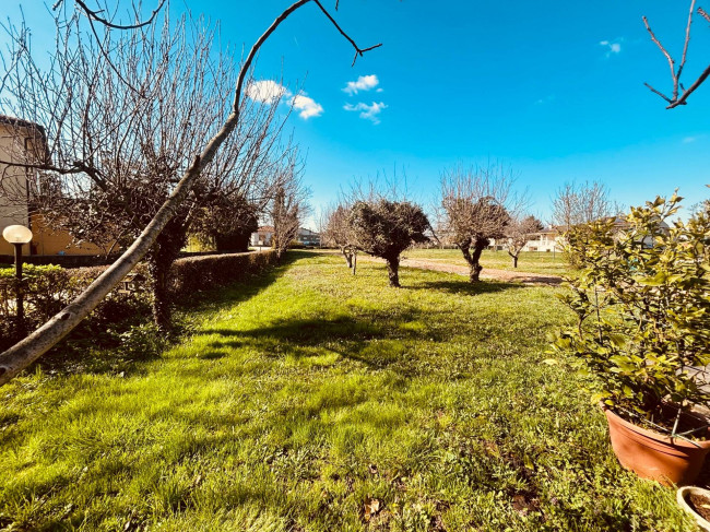 Terreno residenziale in vendita a Montagnana