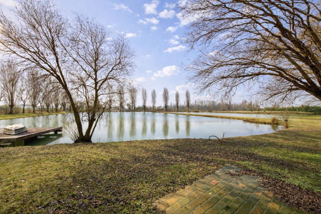 Villa unifamiliare in vendita a Merlara