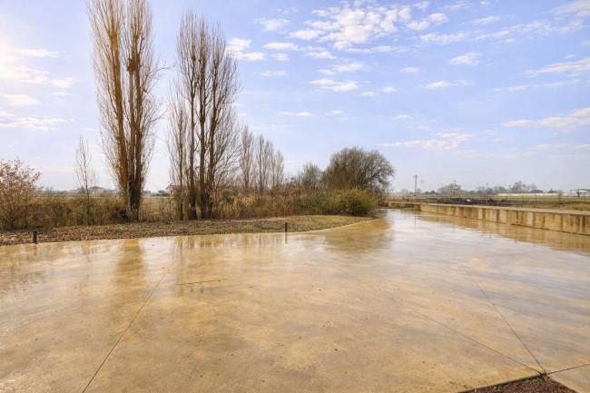 Villa unifamiliare in vendita a Merlara