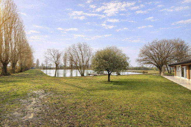 Villa unifamiliare in vendita a Merlara