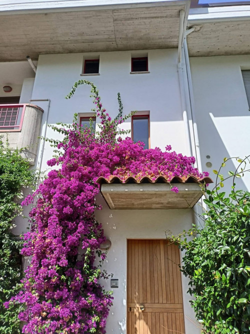 Appartamento in affitto a Offida