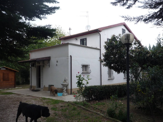Casa singola in vendita a Castignano