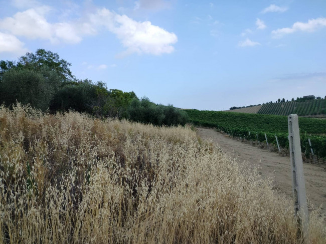 Casa singola in vendita a Offida