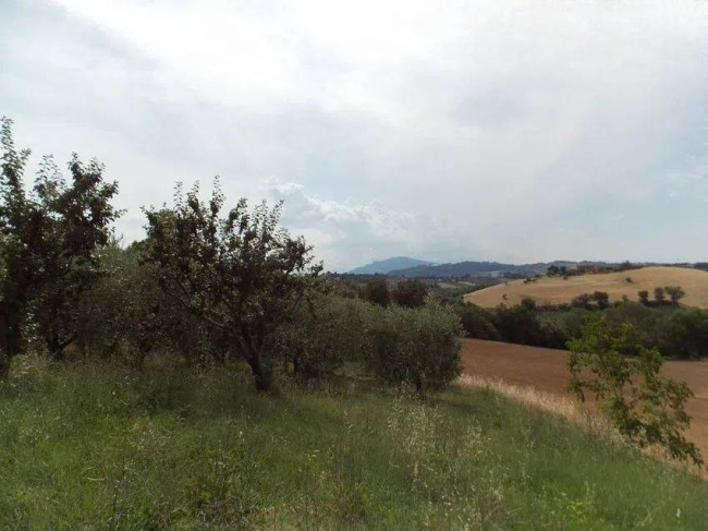 Casa indipendente in vendita a Offida