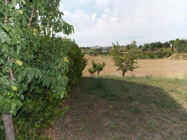 Casa indipendente in vendita a Offida